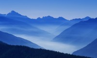 世界拳击精英赛新秀功不可没，世界拳击经典赛
