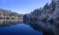 世界体能恢复证书课程上线：康复技能成教练必备新项，世界体能大赛