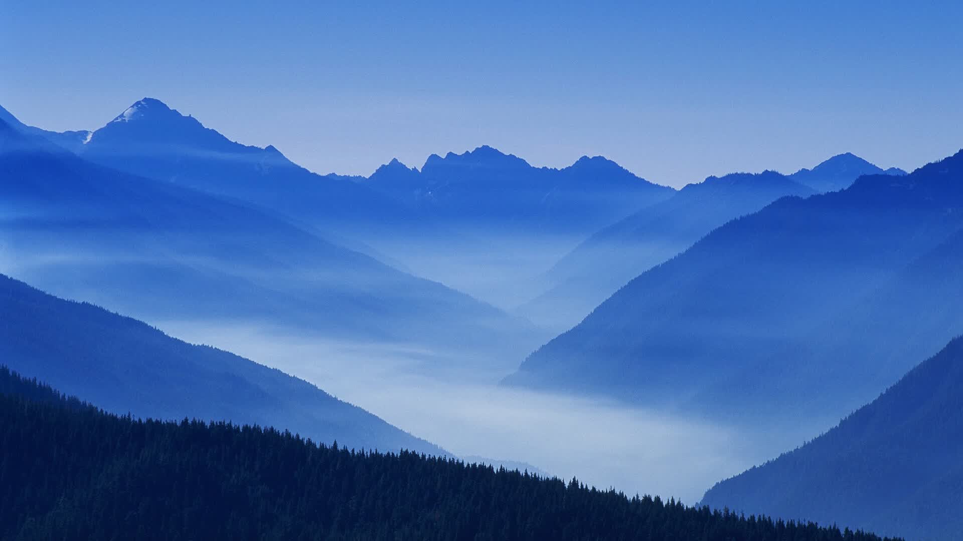世界拳击精英赛新秀功不可没，世界拳击经典赛
