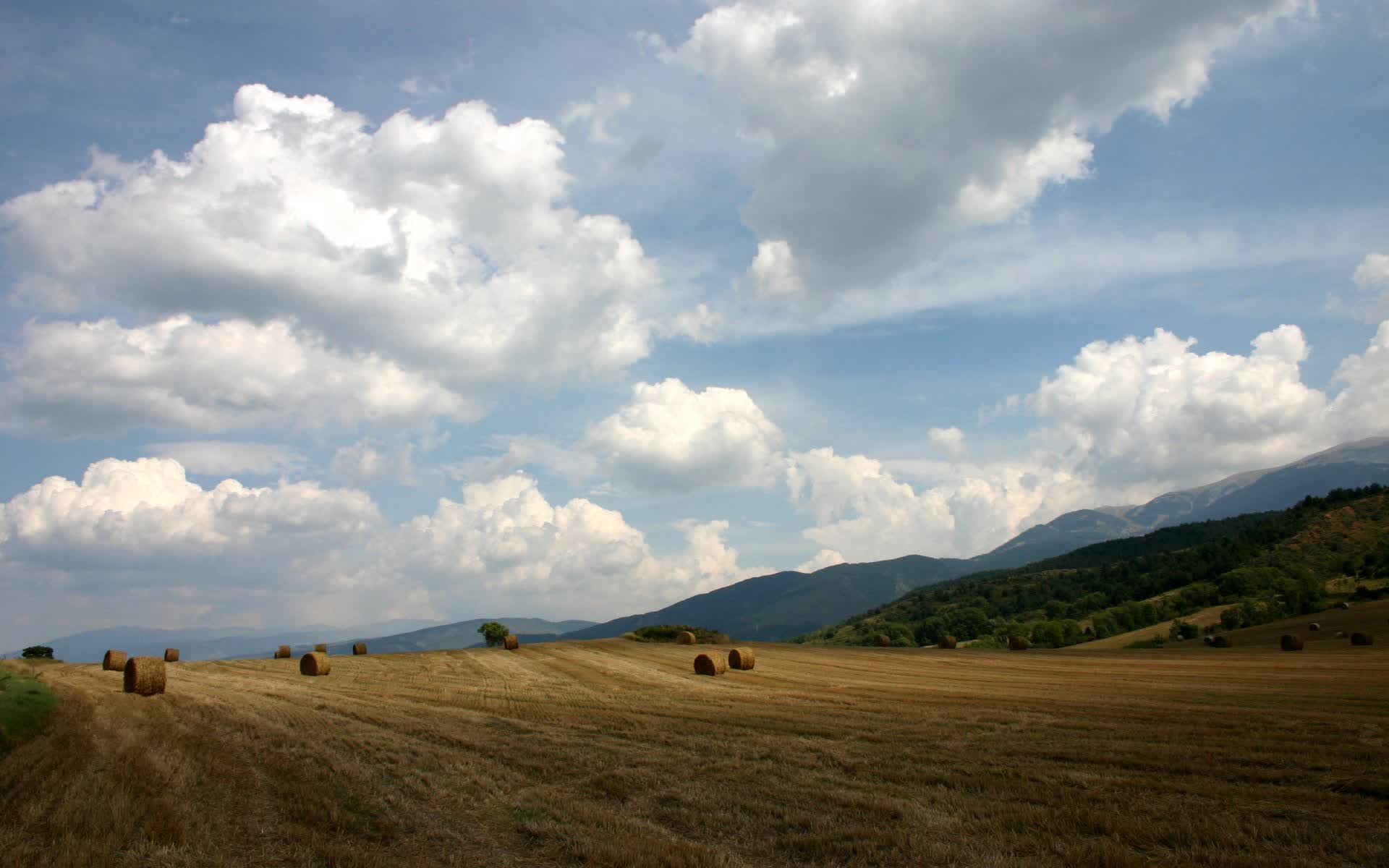 世界短道速滑科研训练营第23期优秀课堂回放上线,2020年世界短道速滑比赛视频